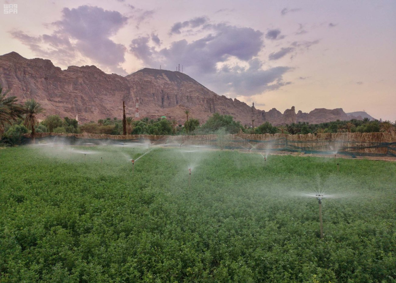 مهرجان "الطنطورة" في العلا.. معرض مفتوح يستعرض آثار وحضارات قبل آلاف السنين