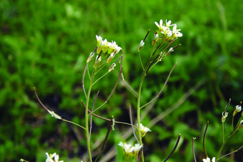 الفلين والسوبرين ولحظة «وجدتها»