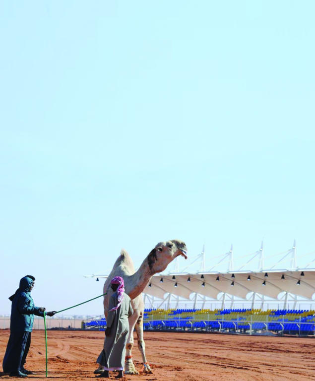 فحول «الصفر» .. بلا استبعاد