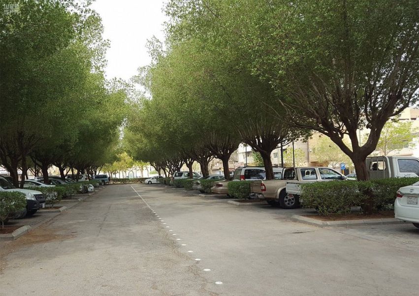 رياض المستقبل .. رؤية طموحة تنقل العاصمة للعالمية