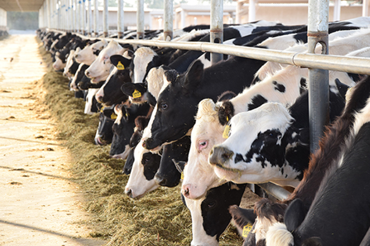 "الشرقية للتنمية" تخفض خسائرها إلى 6.7 مليون ريال خلال 2018