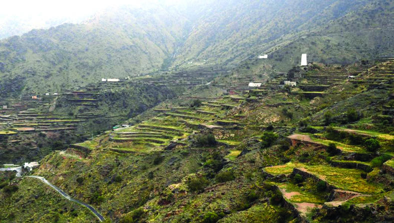 مدرجات عسير الزراعية .. صناعة الطبيعة عمرها 4 قرون