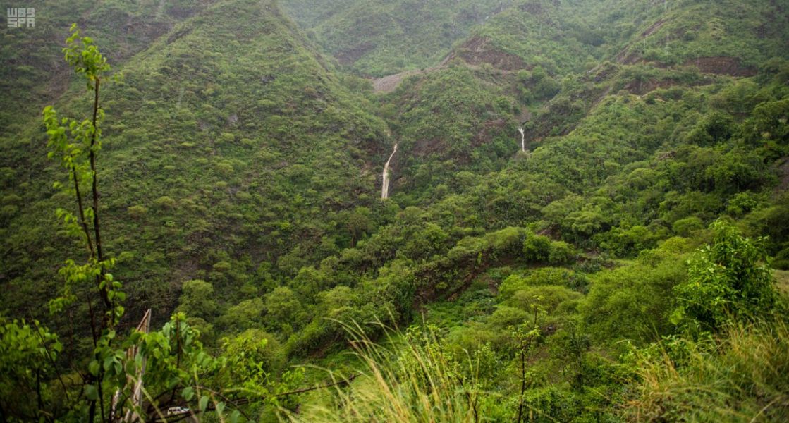 رجال ألمع .. حدائق غناء وشلالات متدفقة تجذب الزوار والمصطافين في عسير