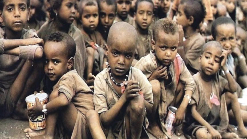 «الكيماويات الزراعية» تبحث عن المعادلة الصحيحة لإطعام البشرية