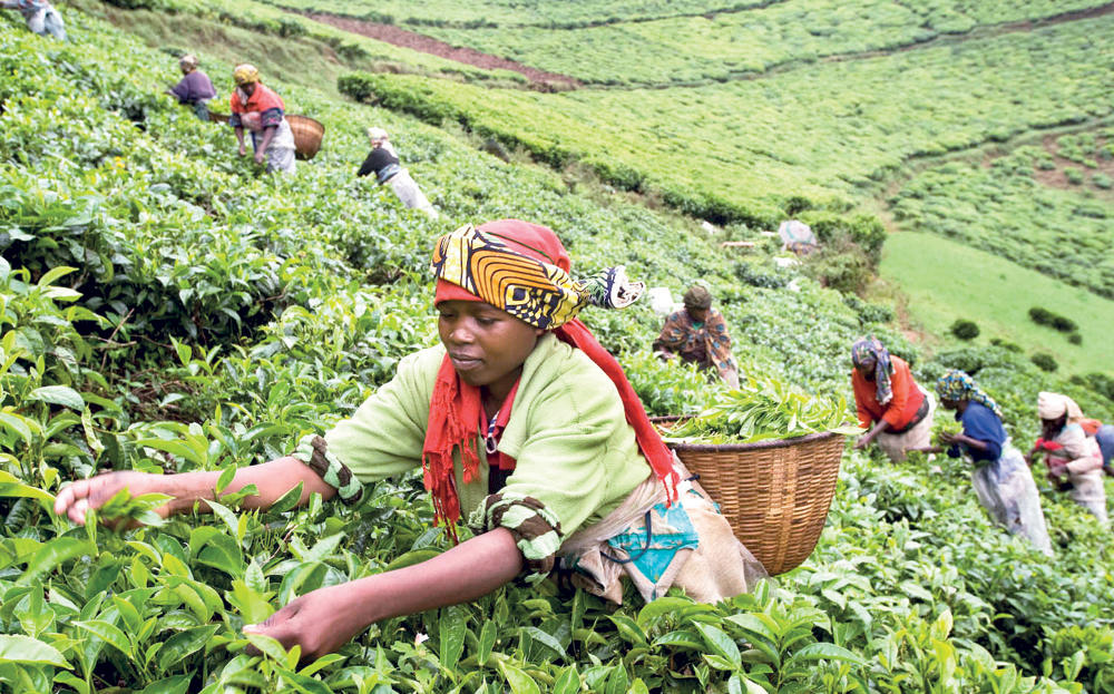 رواندا .. شكوك حول معجزة إفريقيا الاقتصادية