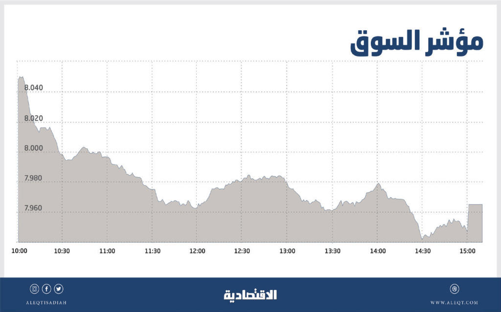 الأسهم السعودية تهبط دون مستوى 8000 نقطة بضغط من «المصارف» و«المواد الأساسية»