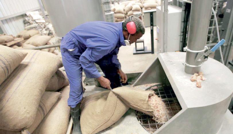 استراتيجية أممية لمواجهة خطر التغير المناخي وتشجيع إنتاج الصمغ العربي