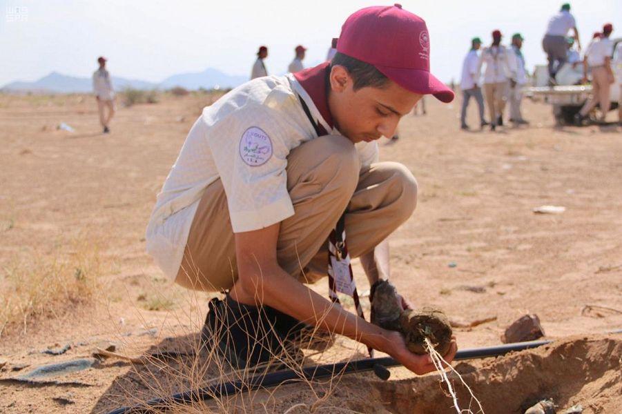 120 كشافا يغرسون 5000 شجرة في المنتزه البيئي بالجموم