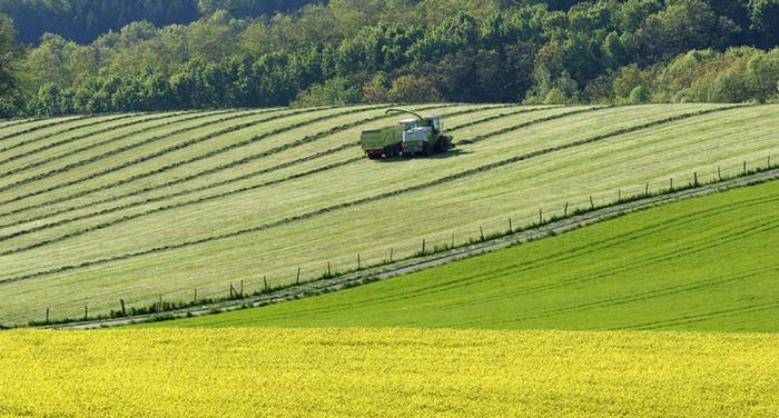 نائبة رئيس المفوضة الأوروبية: أوروبا بحاجة إلى زراعة قوية