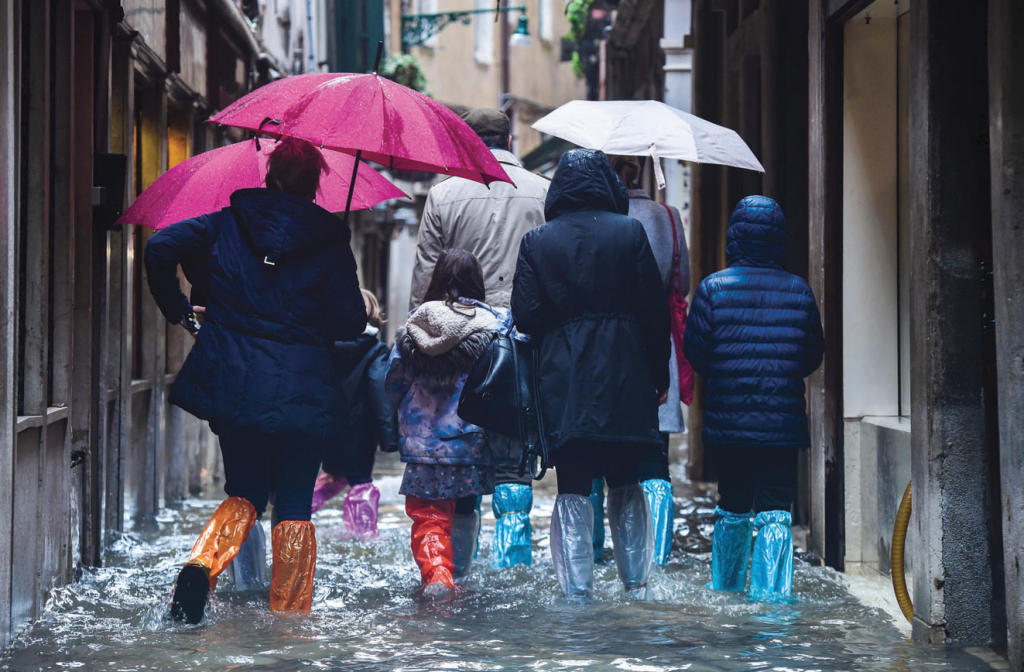 البندقية من جديد