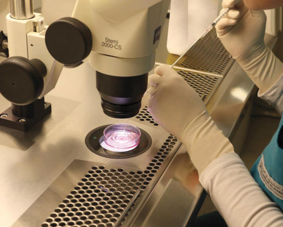 سعودية تنجب 3 توائم في مستشفى د. سليمان الحبيب في القصيم