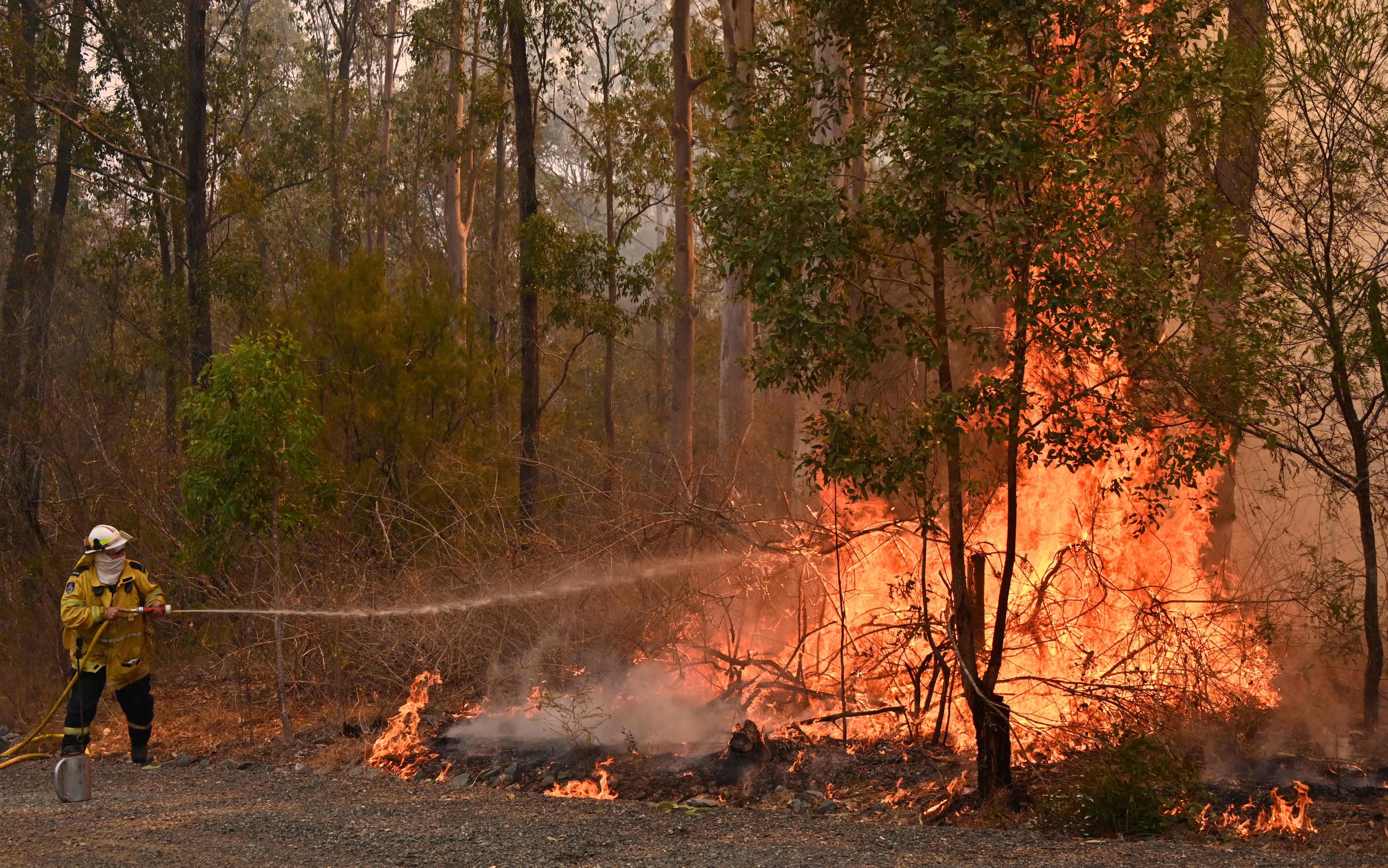 سفارة المملكة في أستراليا تدعو المواطنين إلى الابتعاد عن مناطق الحرائق في أستراليا