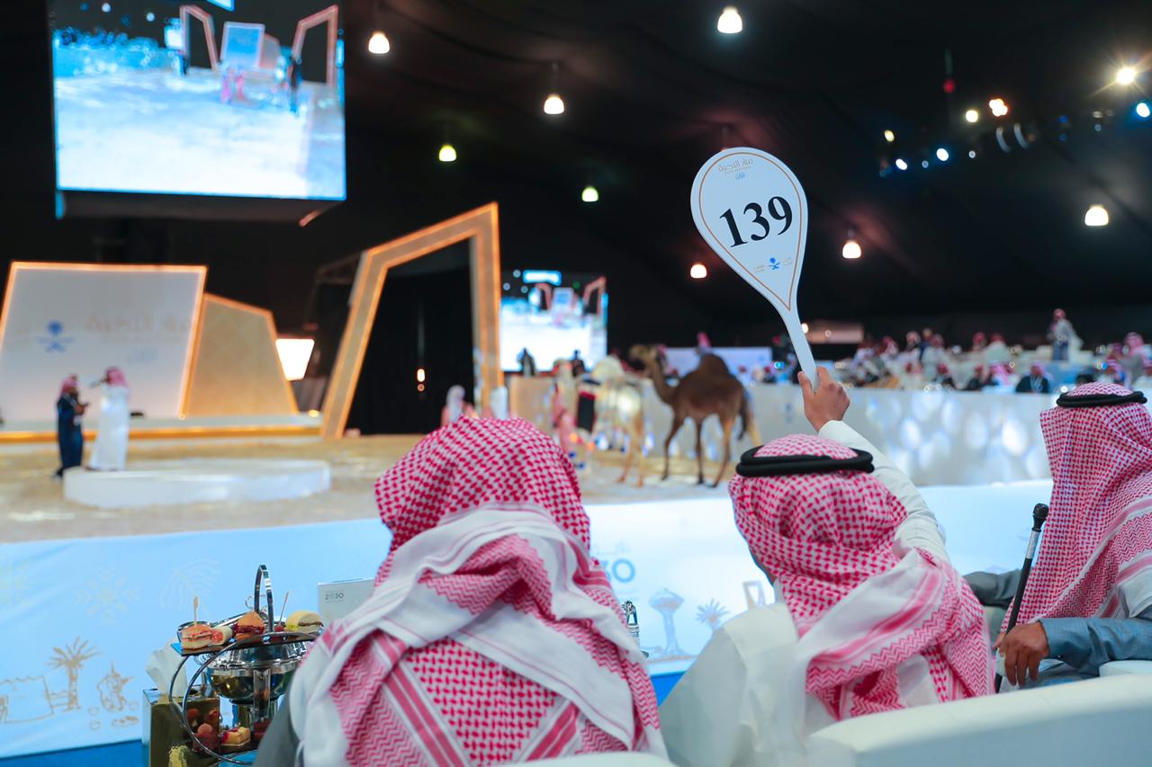 انطلاق فعاليات مهرجان الملك عبدالعزيز للإبل في نسخته الرابعة