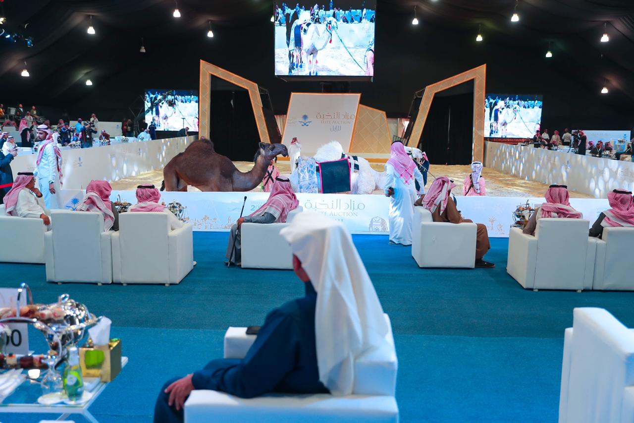 انطلاق فعاليات مهرجان الملك عبدالعزيز للإبل في نسخته الرابعة