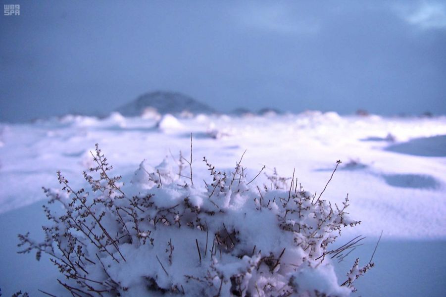 تساقط الثلوج في تبوك ينعش الحركة السياحية في فياض شمال غرب المملكة