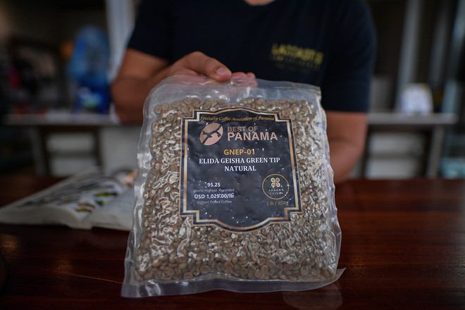 نصف كيلو تقريبا من قهوة الغيشا تباع بنحو 1029