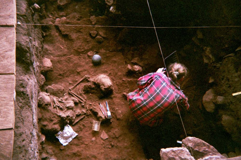 البداية كانت بالبحث عن أحافير تعود إلى زمن اخضرار الصحراء الكبرى.