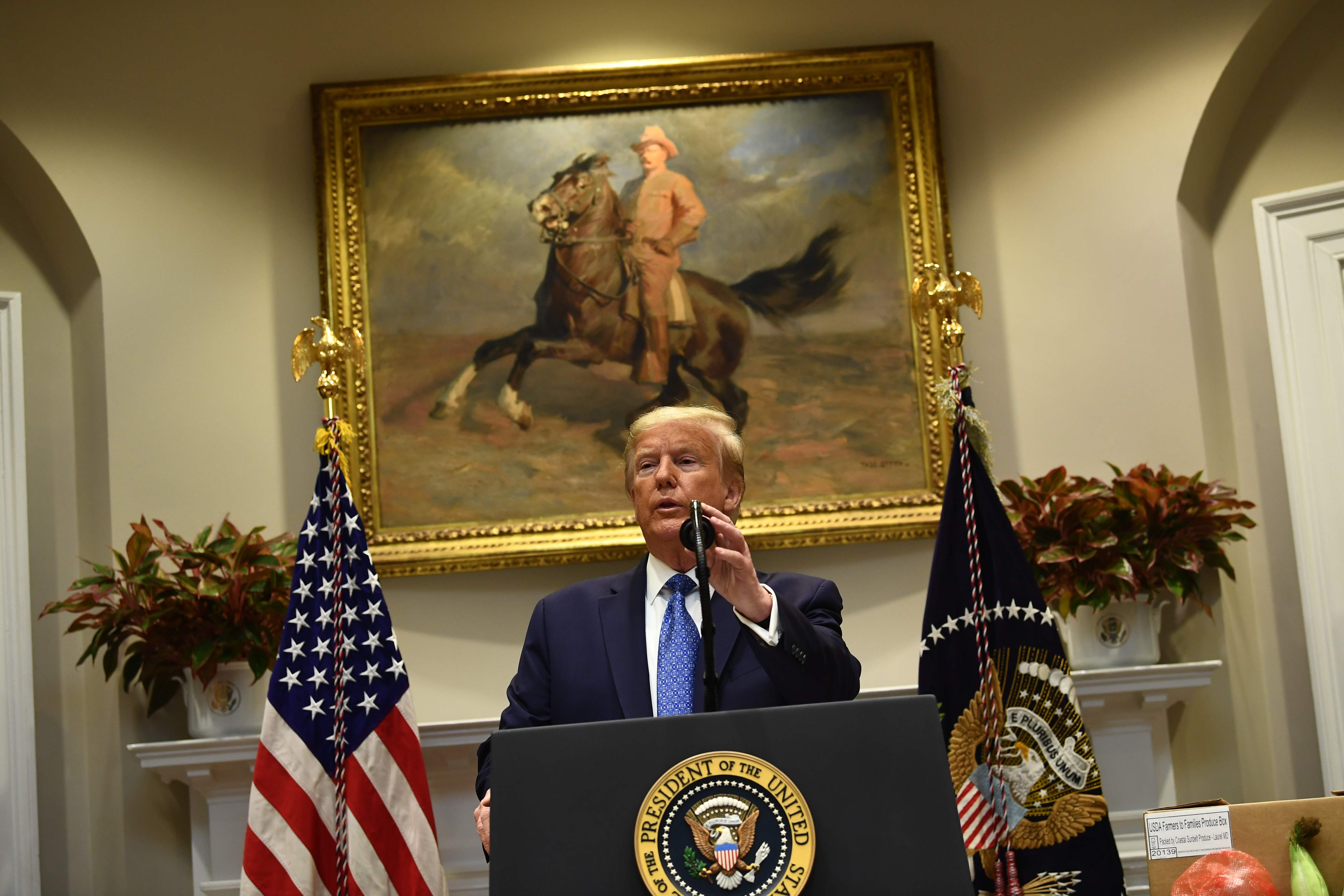 أمريكا تدرس إيقاف استيراد الماشية لدعم المنتجين المحليين