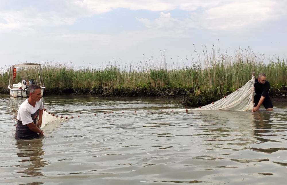 «الديكوباج» فن الفقراء .. بساطة تصنع الجمال