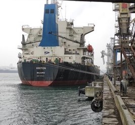 السعودية تستقبل أول شحنة قمح أنتجتها "سالك" في الخارج .. 60 ألف طن مزروعة في أوكرانيا