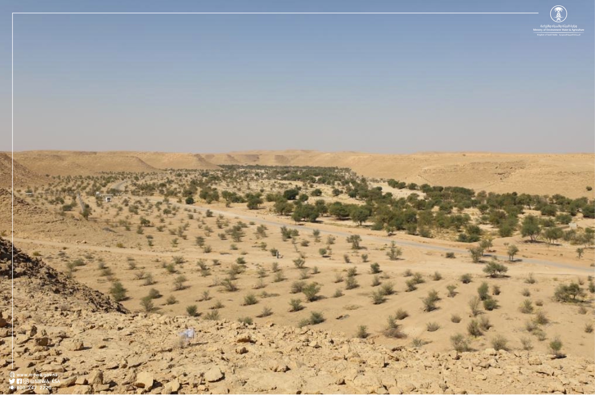 أكثر من 50 سفيرا ودبلوماسيا يشاركون بحملة "لنجعلها خضراء" في منتزه حريملاء 