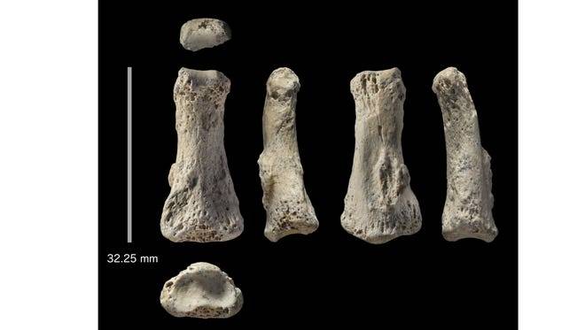 ديلي ميل: منطقة الجزيرة العربية حاسمة في هجرة الإنسان إلى أفريقيا وبقية العالم.