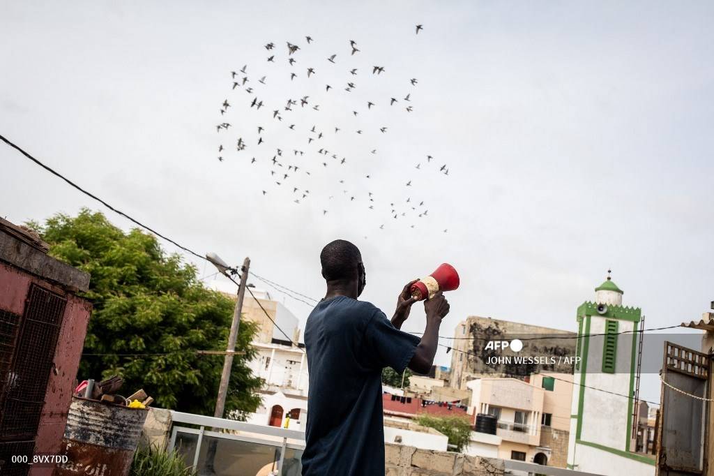 ارتفاع صافي أرباح "مجموعة فتيحي" إلى 7.7 مليون ريال خلال 2018