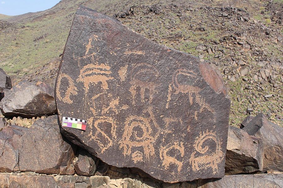 جبال القصيم.. موطن للأسود قبل آلاف السنين