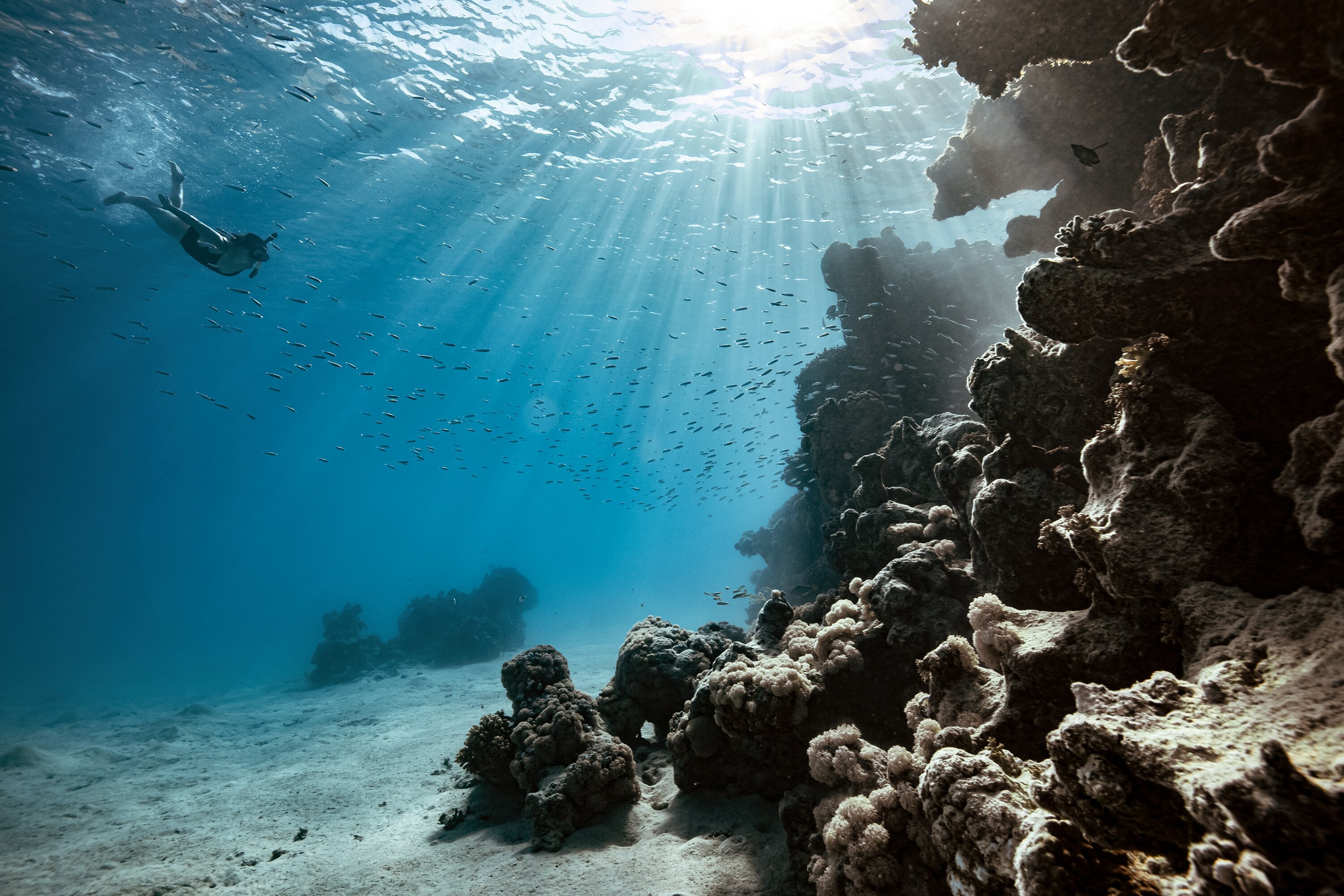 "ذا لاين" .. مدينة مليونية في نيوم تحاكي الطبيعة دون ضجيج وكربون