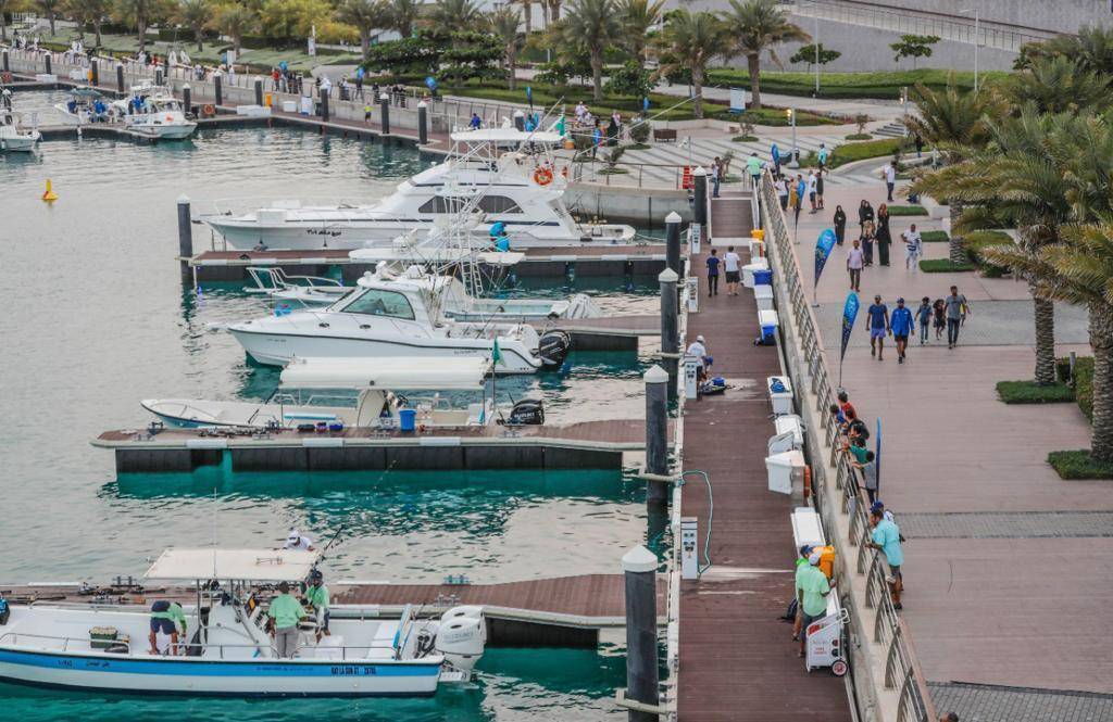 إقرار الترتيبات التنظيمية لمركز برنامج التحول الوطني