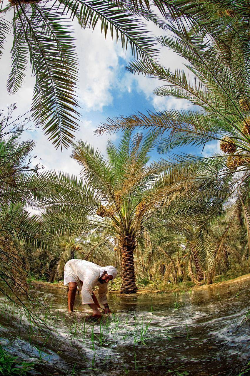 تتضمن "السياحة الريفية" عديد من الأنشطة والتجارب المختلفة."واس"