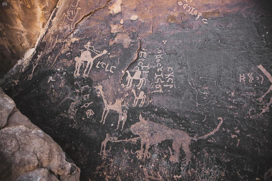 نقوش "حائل" الثمودية تروي لزوار "شتاء السعودية" تفاصيل الأمم السابقة