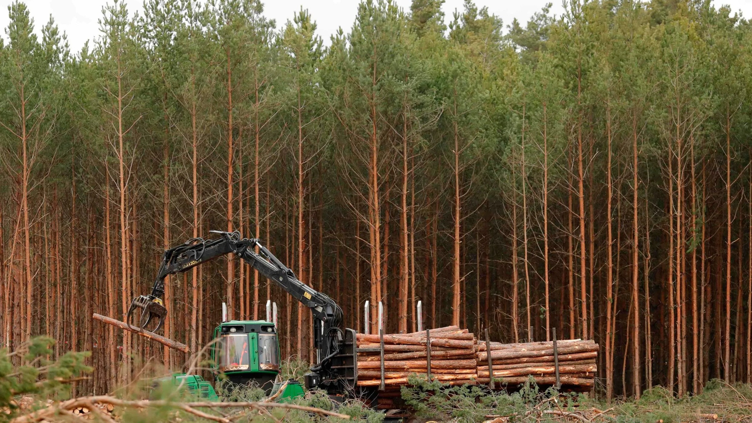 النمو الاقتصادي المتسارع في العالم يرتب كلفة مدمّرة للطبيعة