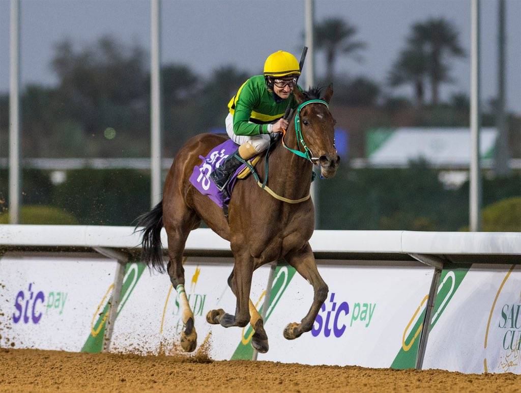 الخيال الإيرلندي شين فولي الفائز بلقب بطولة "تحدي الخيالة الدوليين.