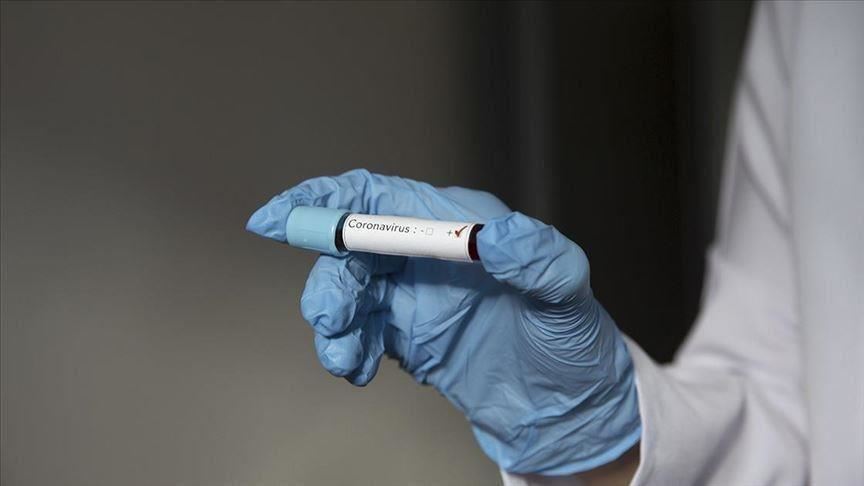 الإمارات: 2013 إصابة جديدة بفيروس كورونا