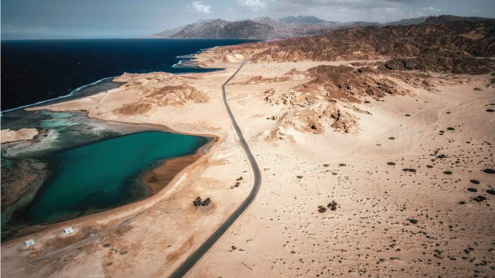 مشروع نيوم يتضمن 26500 كيلومتراً مربعاً من البيئات الطبيعية.