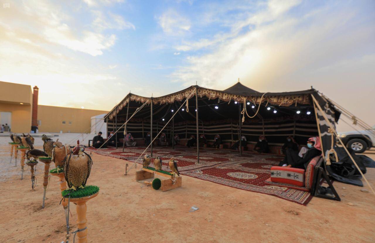 «هدد» يواصل مراقبة الصقور لإعادتها إلى مواطنها الأصلية