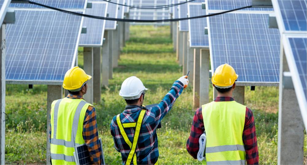 ضرورة وضع خطط دولية متكاملة لدفع الاستثمارات في الاقتصادي الأخضر.