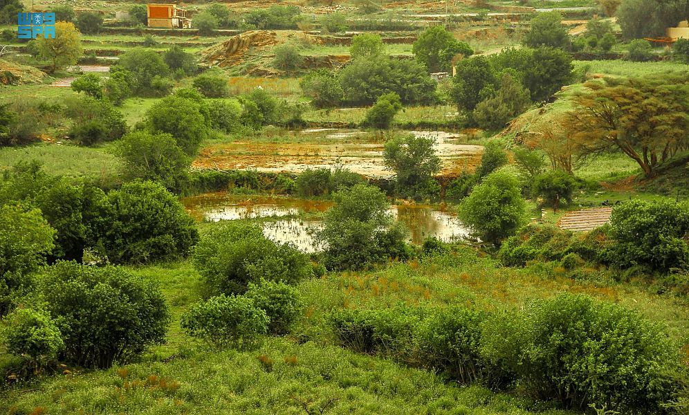 أمطار الخير والبركة تعم منطقة الباحة