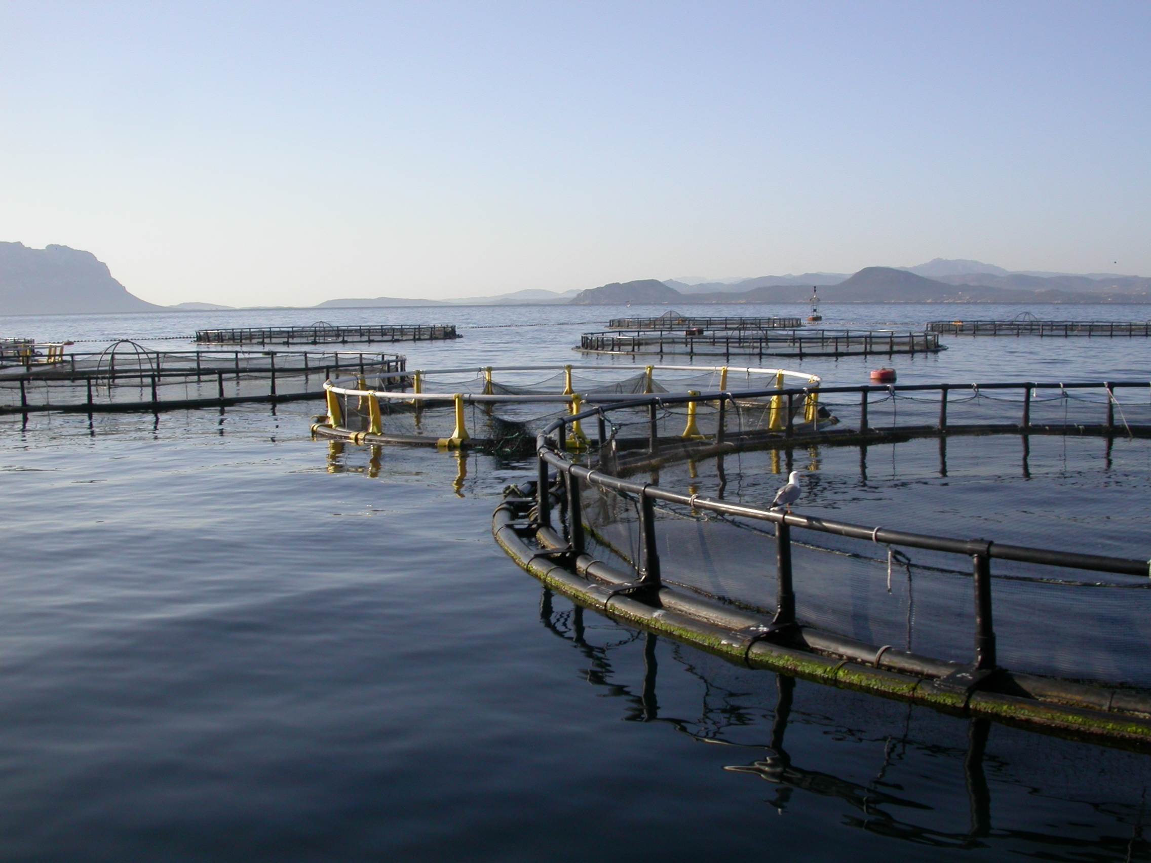 تنفيذ 5 مشروعات مائية وبيئية بتكلفة تتجاوز 108 ملايين ريال