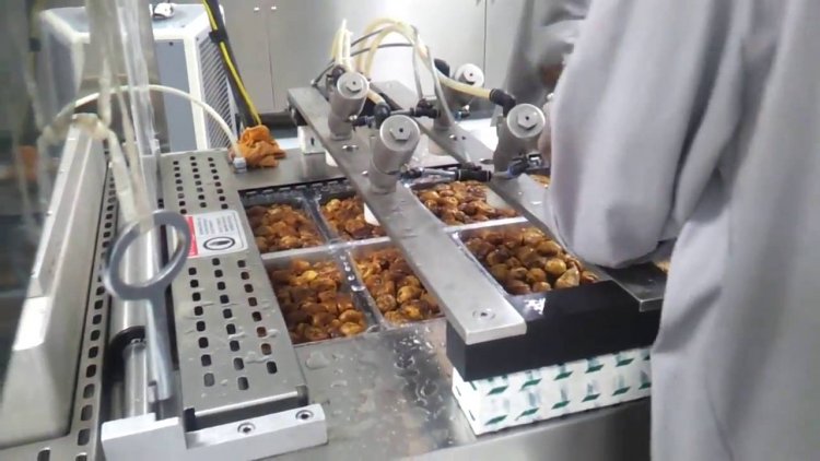 اعتماد 10 مراكز لتبخير منتجات التمورالمصدرة إلى الخارج