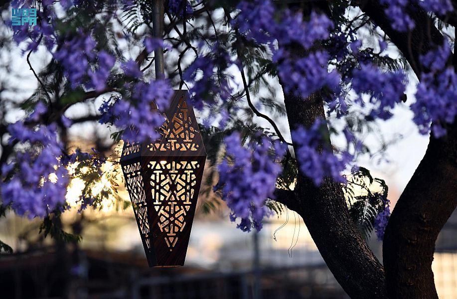 ربيع "الجاكرندا" يجذب زوار أبها