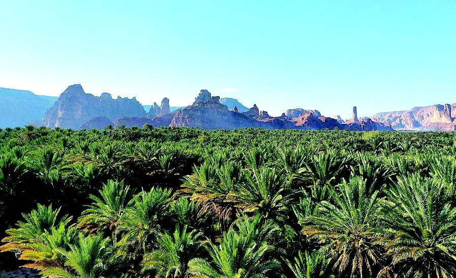 تقنيات البناء الحديثة تعزز نمو المشاريع السكنية السعودية وارتفاع الطلب