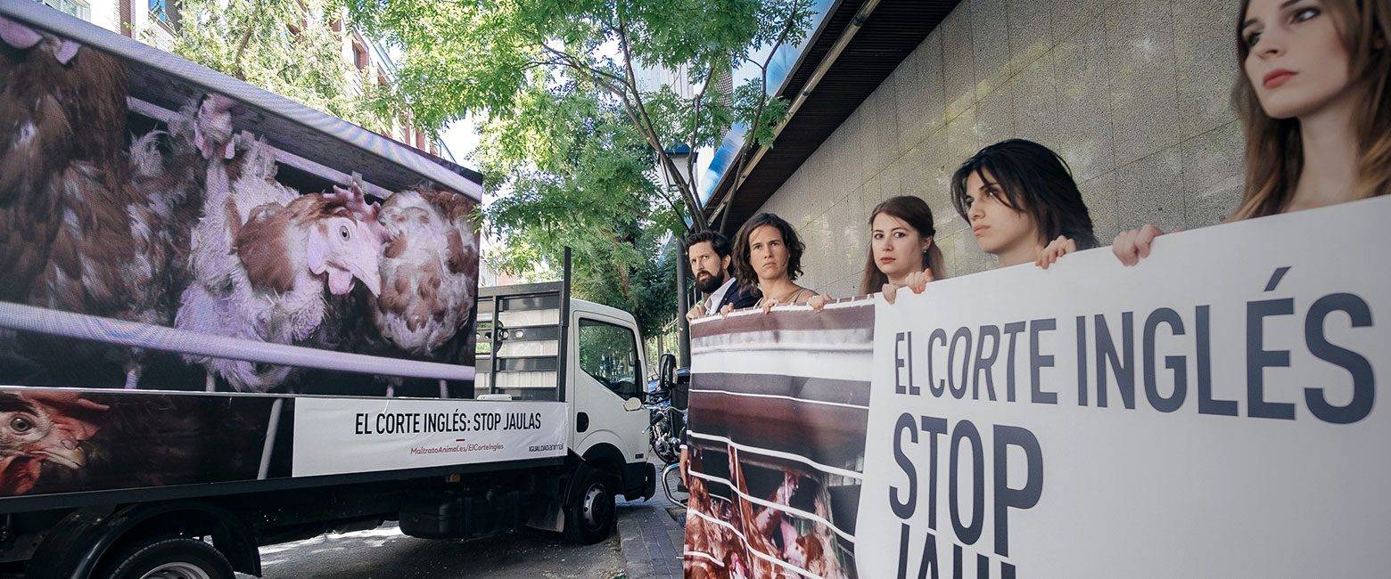 في البلدان المتقدمة يمثل استغلال الحيوانات لأغراض تجارية مشكلة أكبر بكثير.