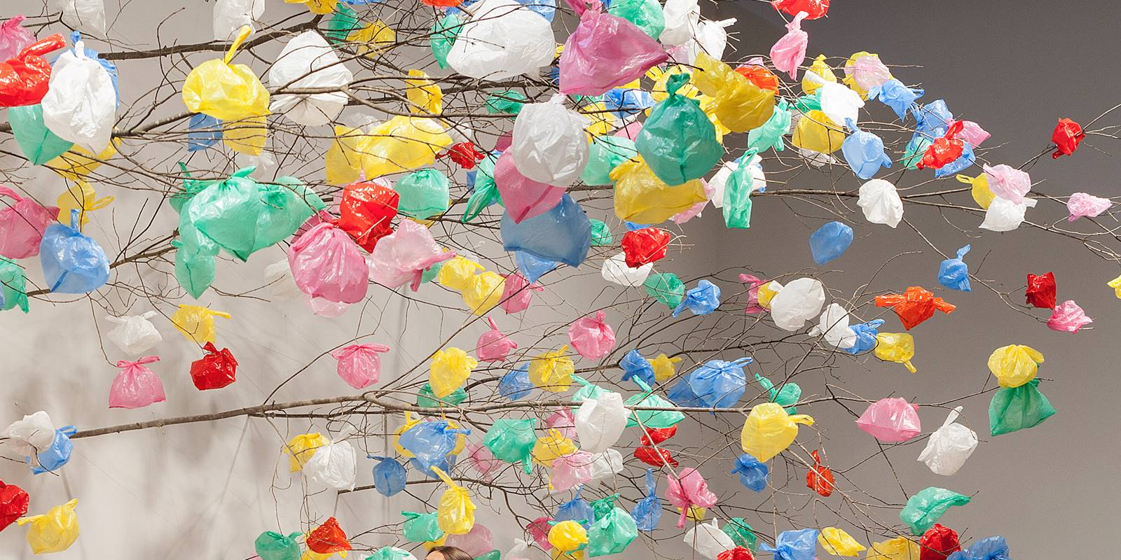 اشتبك الفن بقضايا البيئة، وانصهرت قوانين الفيزياء في عوالم الأدب.