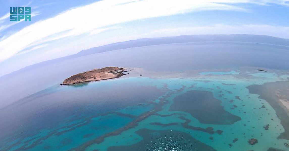 رغم الإطلالة على ساحل البحر الأحمر.. مستوى رطوبة منخفض تتميز به حقل السعودية