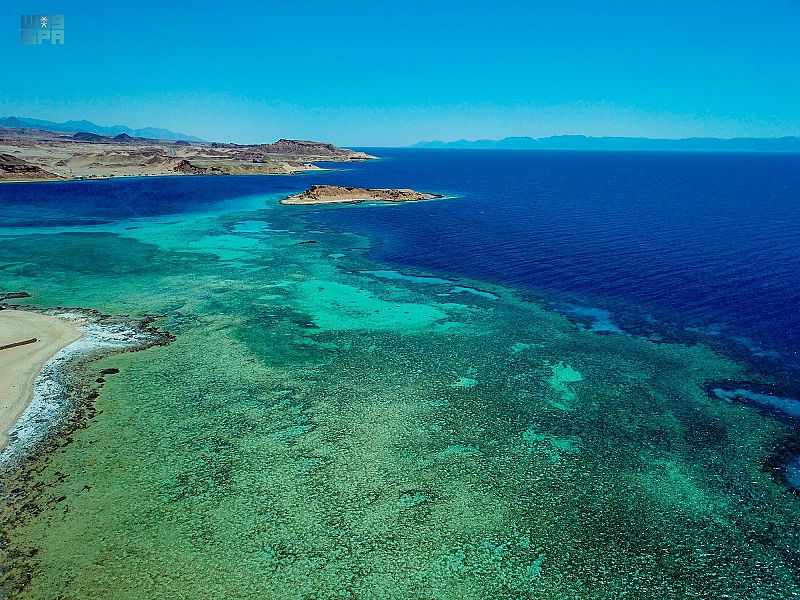 رغم الإطلالة على ساحل البحر الأحمر.. مستوى رطوبة منخفض تتميز به حقل السعودية