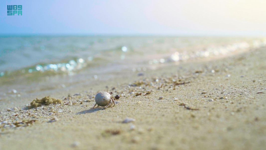 أملج .. وجهة الاستجمام المثالية