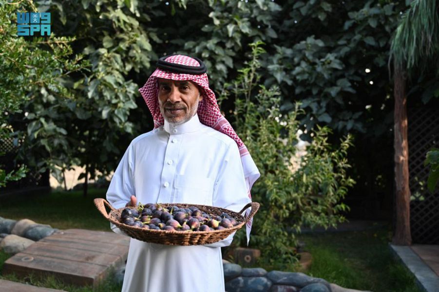 السياحة الزراعية في مرتفعات الباحة وأبها والطائف الخيار الأفضل للراحة والهدوء