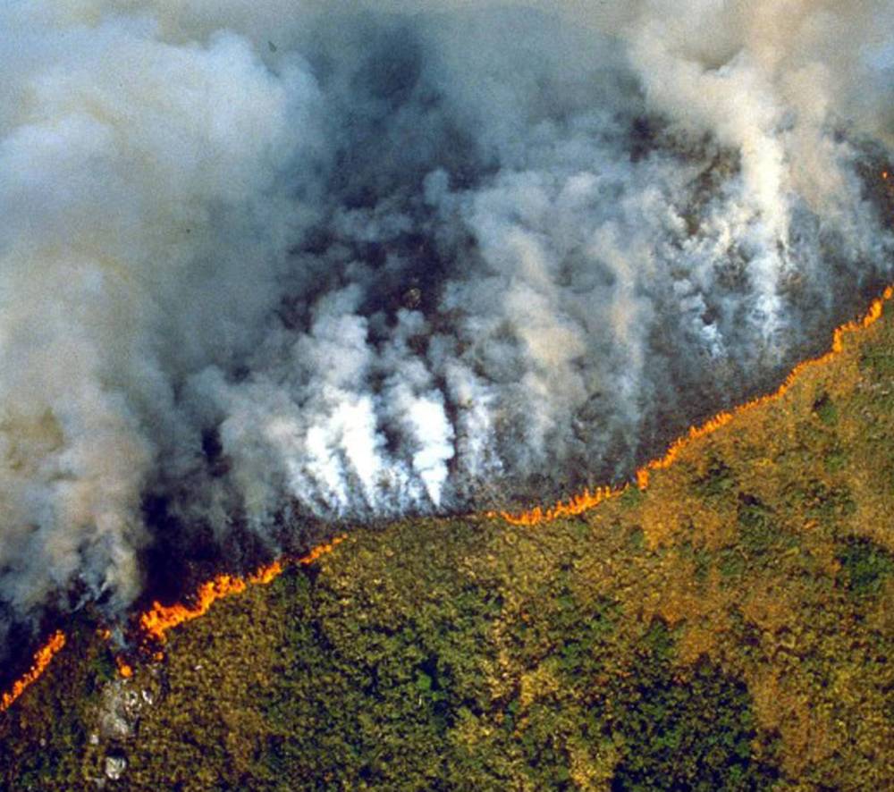 التغير المناخي بدوره مسؤول إلى حد بعيد عن تردي الوضع في الغابات.